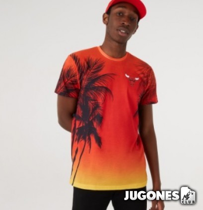 Camiseta Chicago Bulls Summer City Print