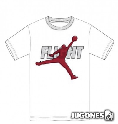 Camiseta Jordan Reflective Flight