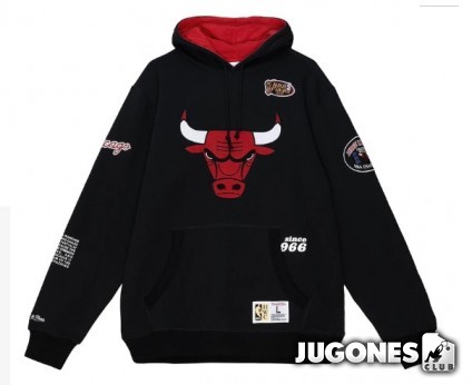 Sudadera Chicago Bulls Team Origins