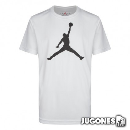 Jordan Jumpman Dri-fit t-shirt