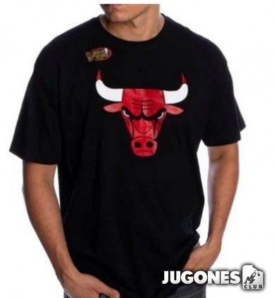 Chicago Bulls