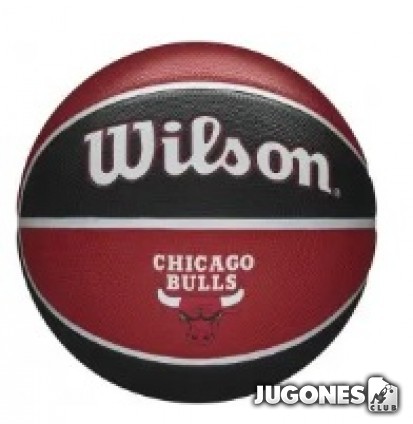 Balon Wilson NBA Team Tribute Chicago Bulls