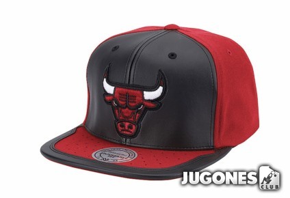 Gorra Chicago Bulls Mitchell & Nes Day One