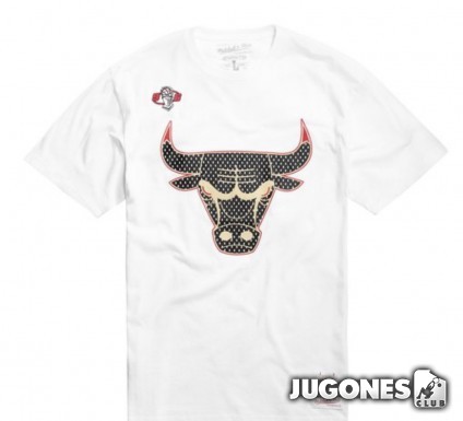 Gold Logo Tee White Jordan Bulls