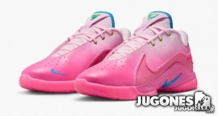 Lebron XXII I Promise