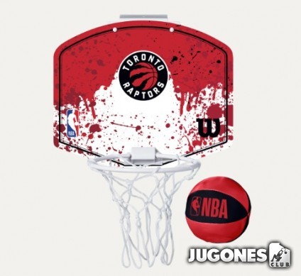Wilson Toronto Raptors