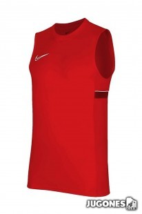 Camiseta Nike Dri-fit Academy