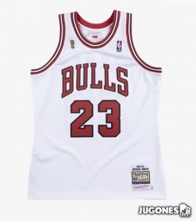 Authentic Jersey Chicago Bulls 1995-96 Michael Jordan