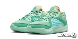 KD 16 Wanda