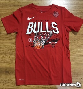 Camiseta Dry Chicago Bulls