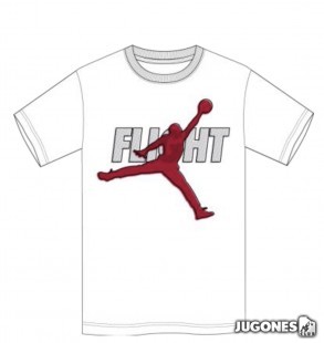 Jordan Reflective Flight Tee