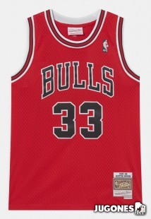 Chicago Bulls Scottie Pippen Jr 1997-1998