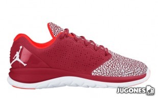 Jordan Trainer ST