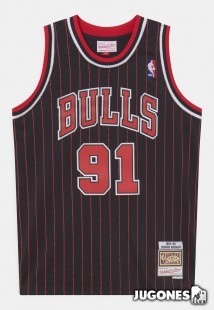 Chicago Bulls Dennis Rodman Jr 1995-1996