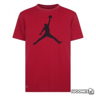 Camiseta Jordan Jumpman Dri-Fit