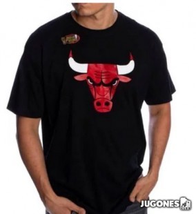Chicago Bulls