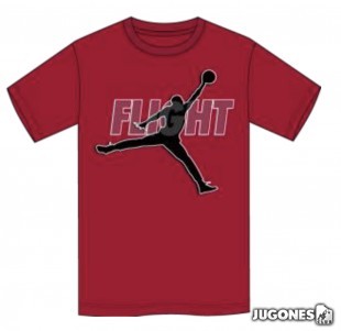 Camiseta Jordan Reflective Flight