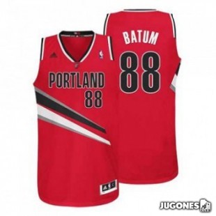 NBA Swingman Nicolas Batum jersey