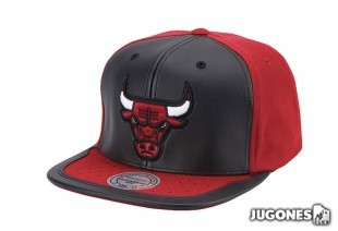 Gorra Chicago Bulls Mitchell & Nes Day One