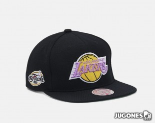 Los Angeles Lakers 2010 NBA Finals Snapback