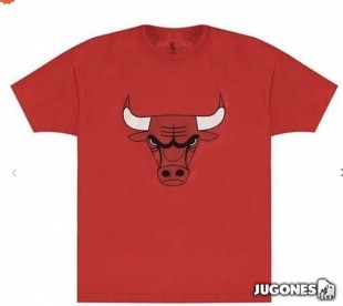 Chicago Bulls Primary Logo Tee