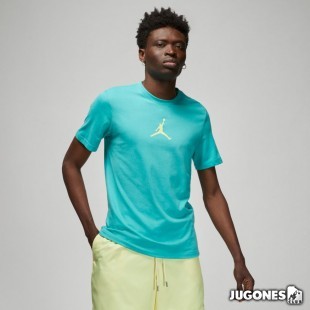 Camiseta Jordan Jumpman