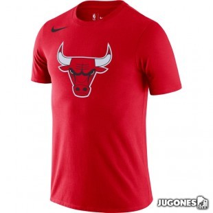 Camiseta Chicago Bulls