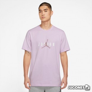Camiseta Jordan Air