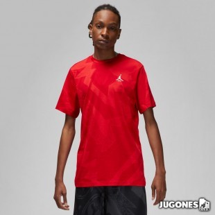 Camiseta Jordan Essentials