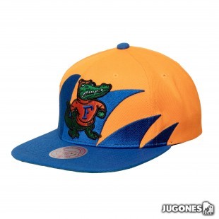 Gorra Ncaa Florida