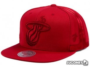 Gorra New Era Tonal Miami Jr