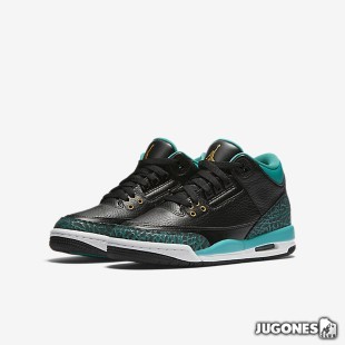 Air Jordan 3 Retro TD