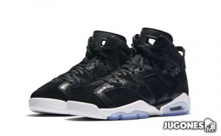 Jordan 6 Retro Premium Heiress Collection GG