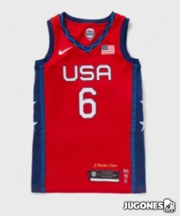 Camiseta Usa Basketball Women Sue Bird