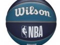 Wilson NBA Team Tribute Charlotte Hornets