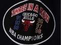 Team Origins Fleece Hoody Chicago Bulls