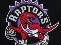 Team Origins Fleece Hoody Toronto Raptors
