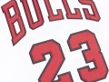 Authentic Jersey Chicago Bulls 1995-96 Michael Jordan