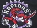 Chaqueta College Toronto Raptors