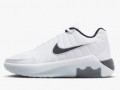 Lebron Witness IX(GS)