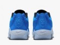 Lebron Witness IX(GS)