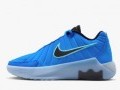 Lebron Witness IX(GS)