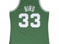 Swingman Boston Celtics Larry Bird