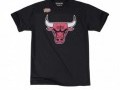 Chicago Bulls